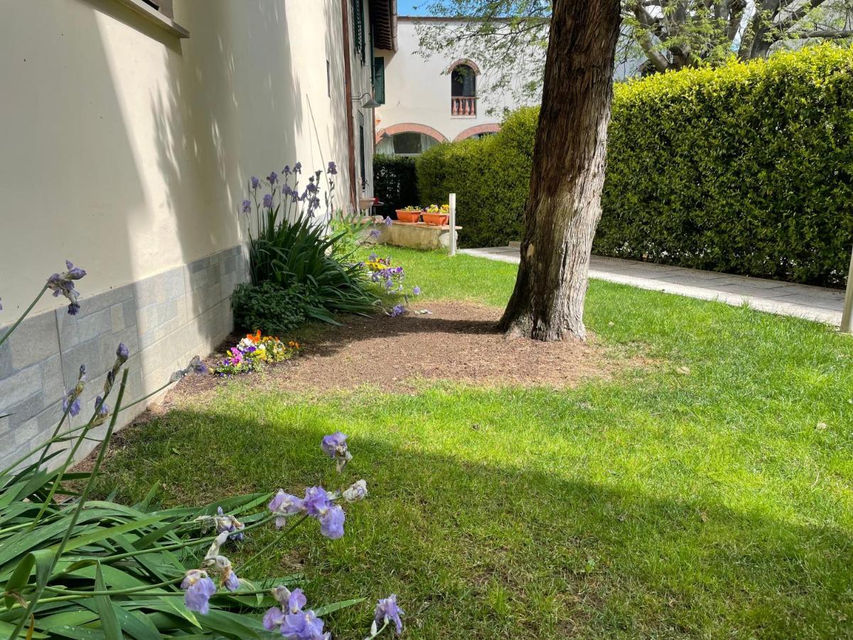 Dalu Florence Apartment Davide - Private Car Park 15 Minutes To The City Center 외부 사진