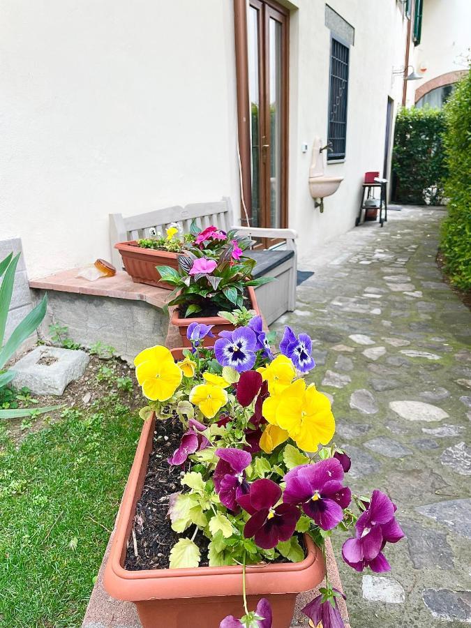 Dalu Florence Apartment Davide - Private Car Park 15 Minutes To The City Center 외부 사진