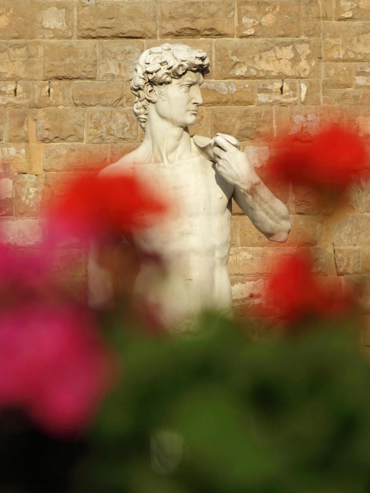 Dalu Florence Apartment Davide - Private Car Park 15 Minutes To The City Center 외부 사진