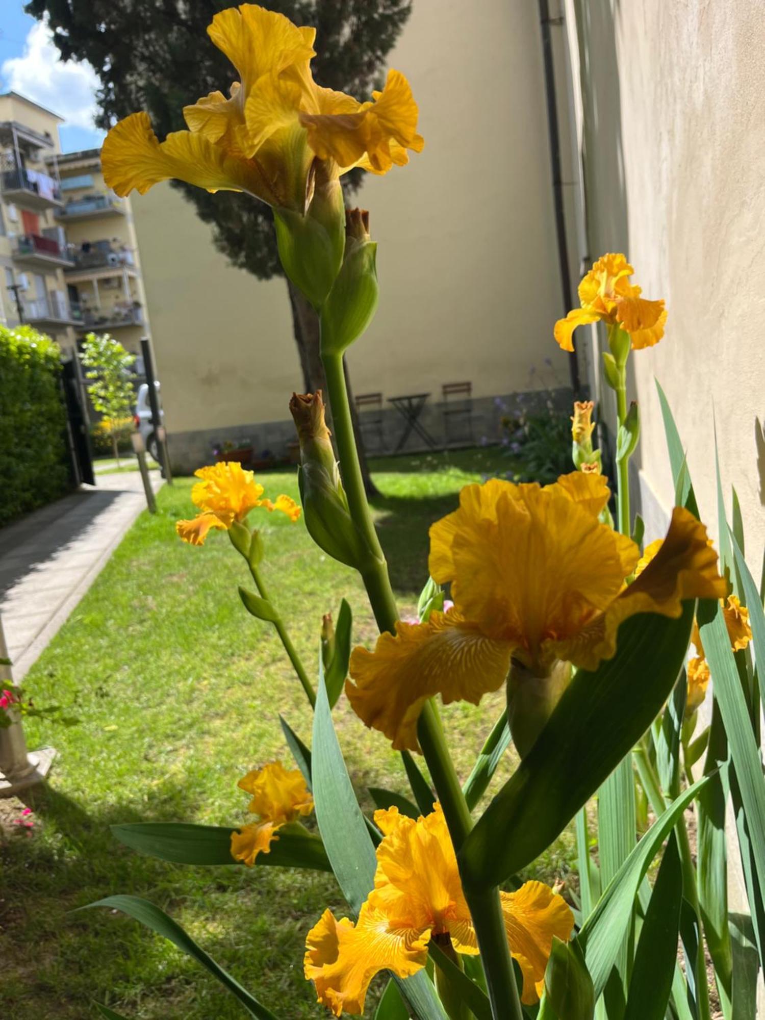 Dalu Florence Apartment Davide - Private Car Park 15 Minutes To The City Center 외부 사진
