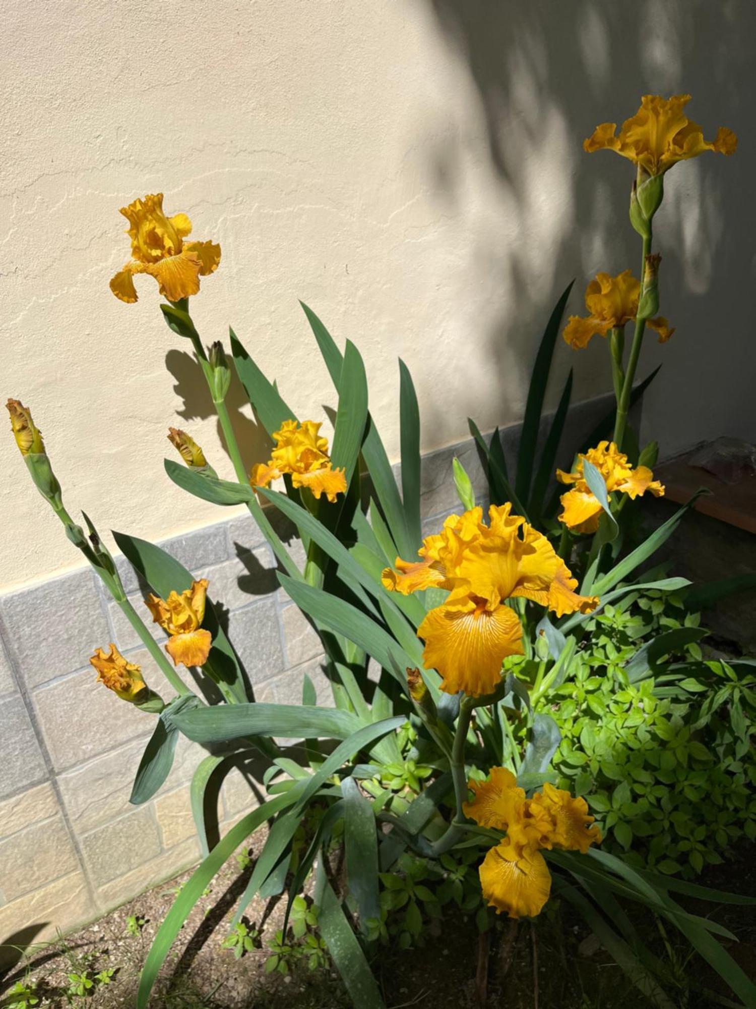 Dalu Florence Apartment Davide - Private Car Park 15 Minutes To The City Center 외부 사진
